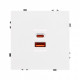 Розетка 2хUSB type A и C без рамки Arlight SCT 054316