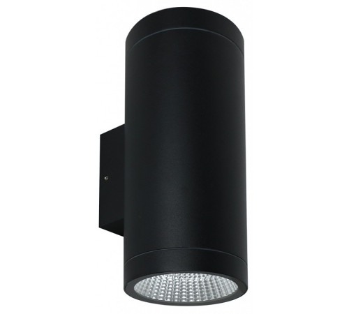 Накладной светильник Arte Lamp TORCULAR A1313AL-2BK