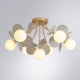 Потолочная люстра Arte Lamp Peacock 7 ламп A1369PL-7GY