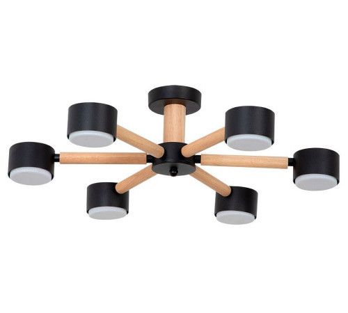Потолочная люстра Arte Lamp TENDA 6 ламп A1624PL-6BK