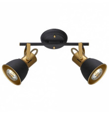 Спот Arte Lamp Jovi A1677PL-2GO