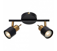 Спот Arte Lamp Almach A1906PL-2BK