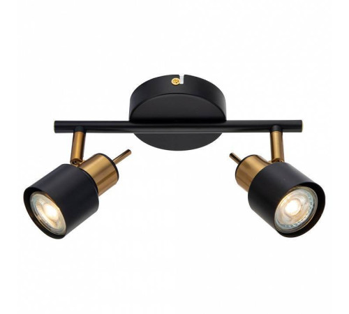 Спот Arte Lamp Almach A1906PL-2BK