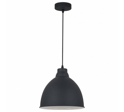 Подвесной светильник Arte Lamp Braccio A2055SP-1BK