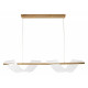 Подвесной светильник Arte Lamp Fiorita A2093SP-2GO