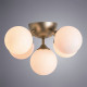 Потолочная люстра Arte Lamp Fobos 5 ламп A2704PL-5SG