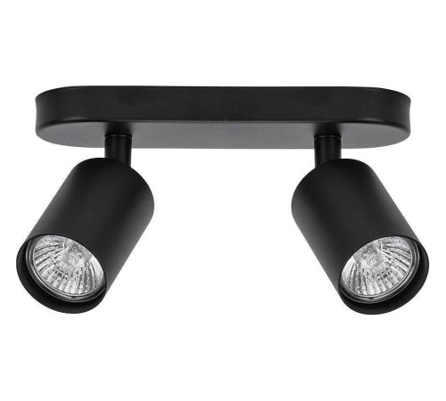 Спот Arte Lamp Aquarius A3226PL-2BK