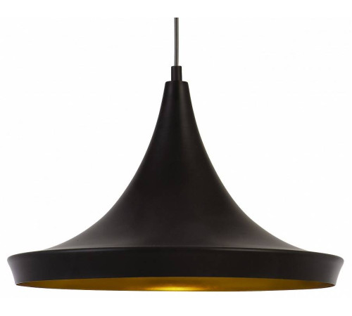 Подвесной светильник Arte Lamp Capello A3406SP-1BK