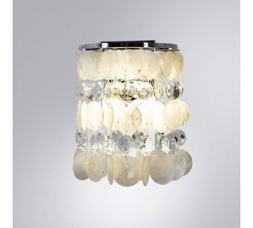 Накладной светильник Arte Lamp Pipirima A4041AP-2CC