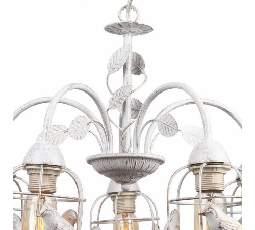 Подвесная люстра Arte Lamp Cincia 5 ламп A5090LM-5WG