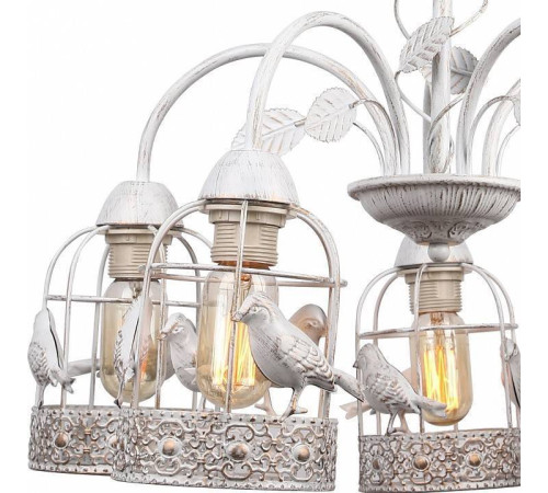 Подвесная люстра Arte Lamp Cincia 5 ламп A5090LM-5WG