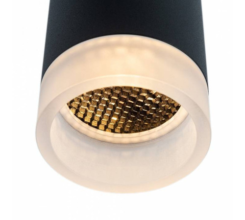 Накладной светильник Arte Lamp Ogma A5556PL-1BK