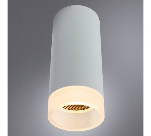 Накладной светильник Arte Lamp Ogma A5556PL-1WH