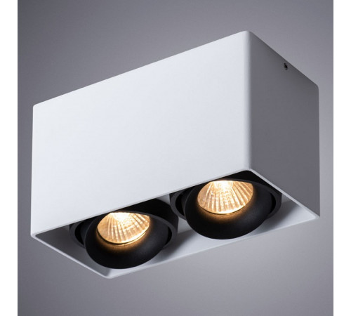 Накладной светильник Arte Lamp Pictor A5654PL-2WH