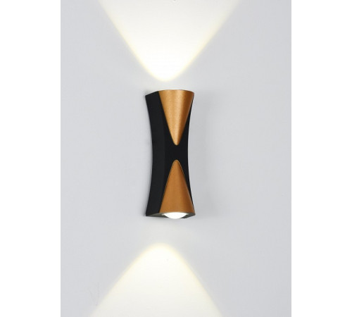 Накладной светильник Arte Lamp GUDJA A6026AP-10BK