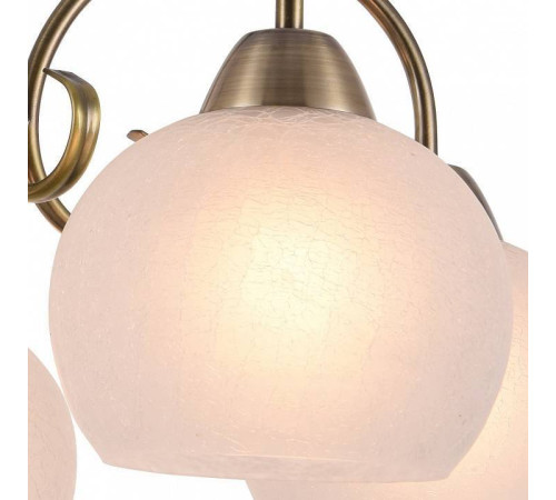 Подвесная люстра Arte Lamp Margo A9317LM-5AB
