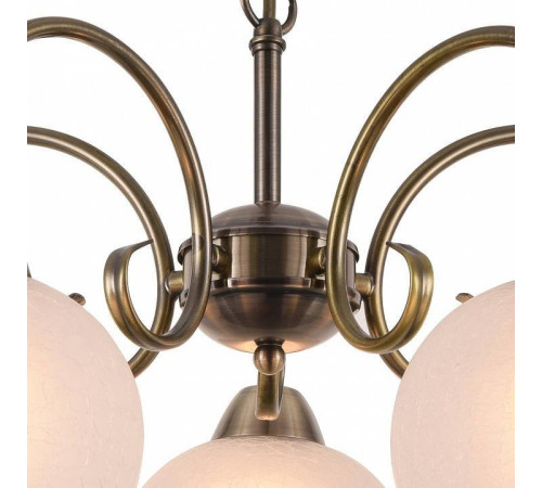 Подвесная люстра Arte Lamp Margo A9317LM-5AB