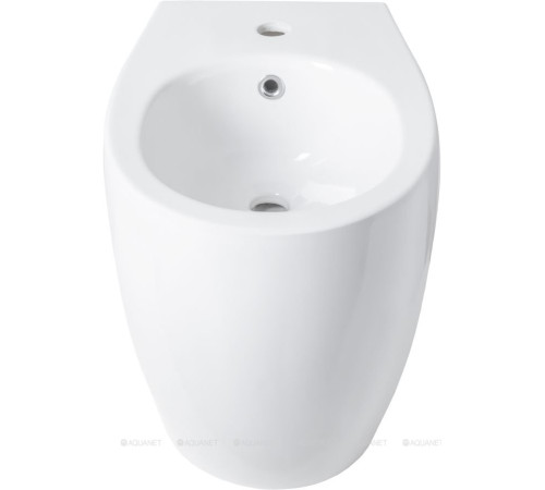 Биде приставное Allen Brau Fantasy 520x363 мм белый 4.11008.20