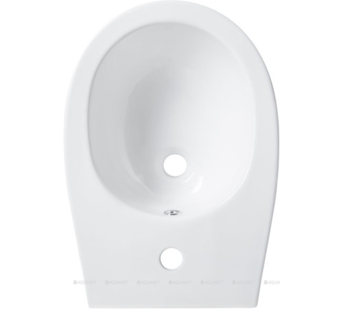 Биде приставное Allen Brau Fantasy 520x363 мм белый 4.11008.20