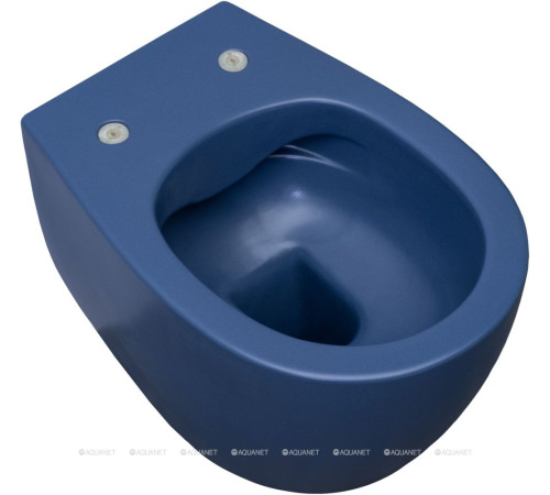 Унитаз подвесной Allen Brau FANTASY Rimless 510x363 мм индиго 4.11004.ID