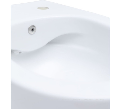 Унитаз подвесной Allen Brau FANTASY Rimless с гигиеническим душем 510x363 мм белый 4.11HC1.20