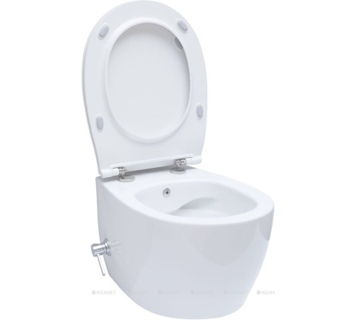 Унитаз подвесной Allen Brau FANTASY Rimless с гигиеническим душем 510x363 мм белый 4.11HC1.20