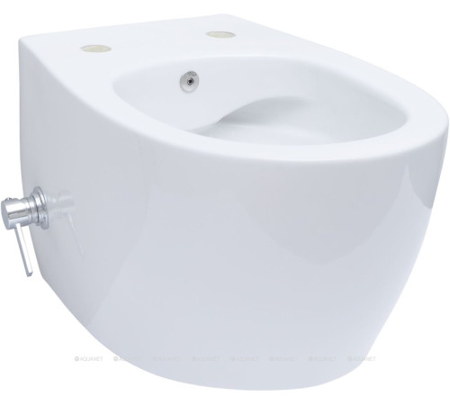 Унитаз подвесной Allen Brau FANTASY Rimless с гигиеническим душем 510x363 мм белый 4.11HC1.20