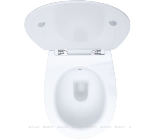 Унитаз подвесной Allen Brau FANTASY Rimless с гигиеническим душем 510x363 мм белый 4.11HC1.20