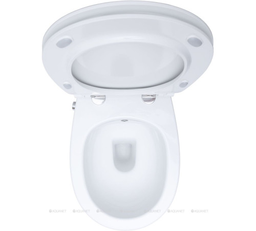 Унитаз подвесной Allen Brau FANTASY Rimless с гигиеническим душем 510x363 мм белый 4.11HC1.20