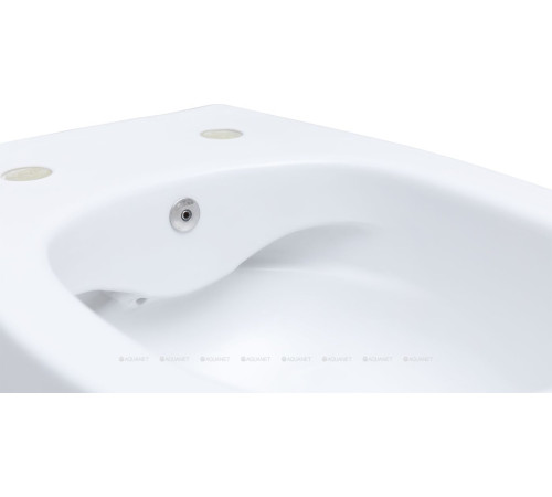 Унитаз подвесной Allen Brau FANTASY Rimless с гигиеническим душем 510x363 мм белый 4.11HC1.20