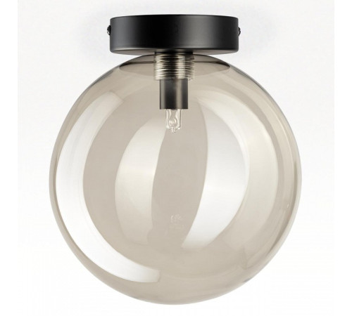 Накладной светильник Citilux ORTON CL202511