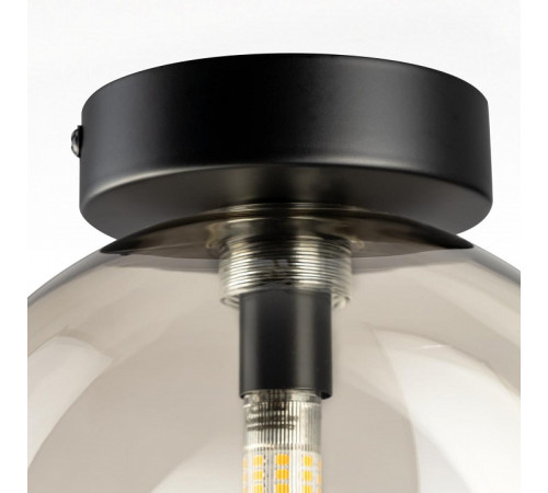 Накладной светильник Citilux ORTON CL202511