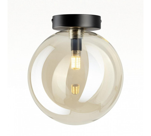 Накладной светильник Citilux ORTON CL202512