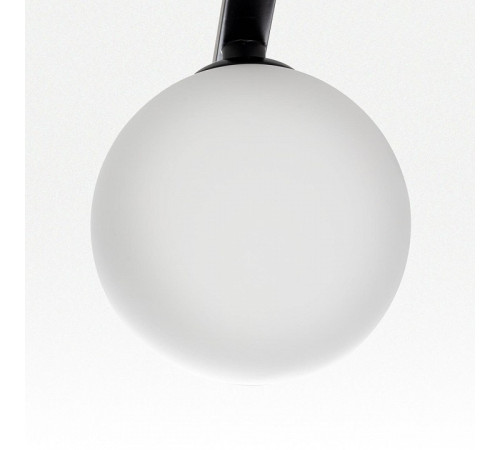 Потолочная люстра Citilux Glob CL209261