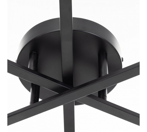 Потолочная люстра Citilux Glob CL209261