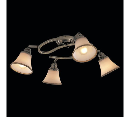 Спот Citilux Прованс CL511143