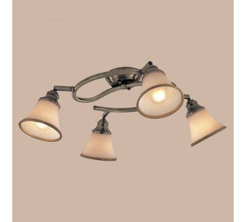 Спот Citilux Прованс CL511143