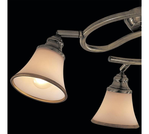 Спот Citilux Прованс CL511143