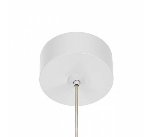 Подвесной светильник Citilux Bruno CL565010