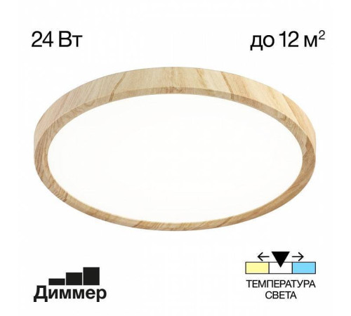 Накладной светильник Citilux Бейсик CL738242V