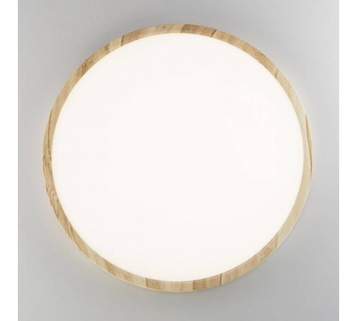 Накладной светильник Citilux Бейсик CL738322V