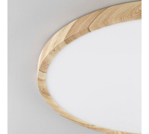 Накладной светильник Citilux Бейсик CL738322V