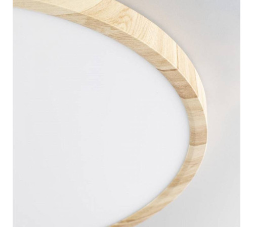 Накладной светильник Citilux Бейсик CL738322V