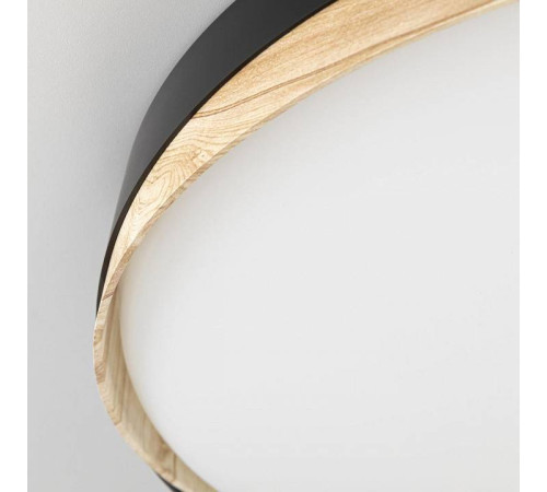 Накладной светильник Citilux BONNY CL754451G