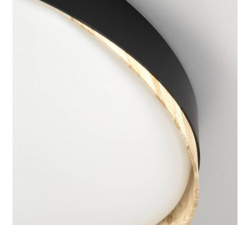 Накладной светильник Citilux BONNY CL754451G