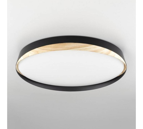 Накладной светильник Citilux BONNY CL754451G