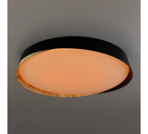 Накладной светильник Citilux BONNY CL754451G