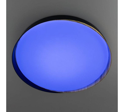 Накладной светильник Citilux BONNY CL754451G