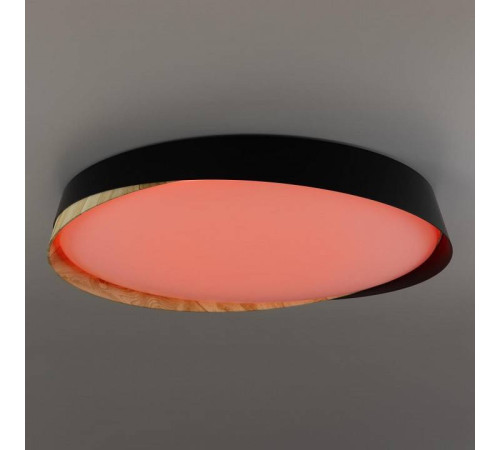 Накладной светильник Citilux BONNY CL754451G