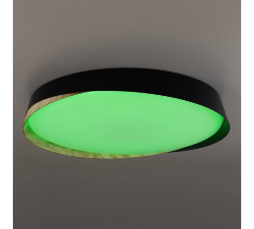 Накладной светильник Citilux BONNY CL754451G